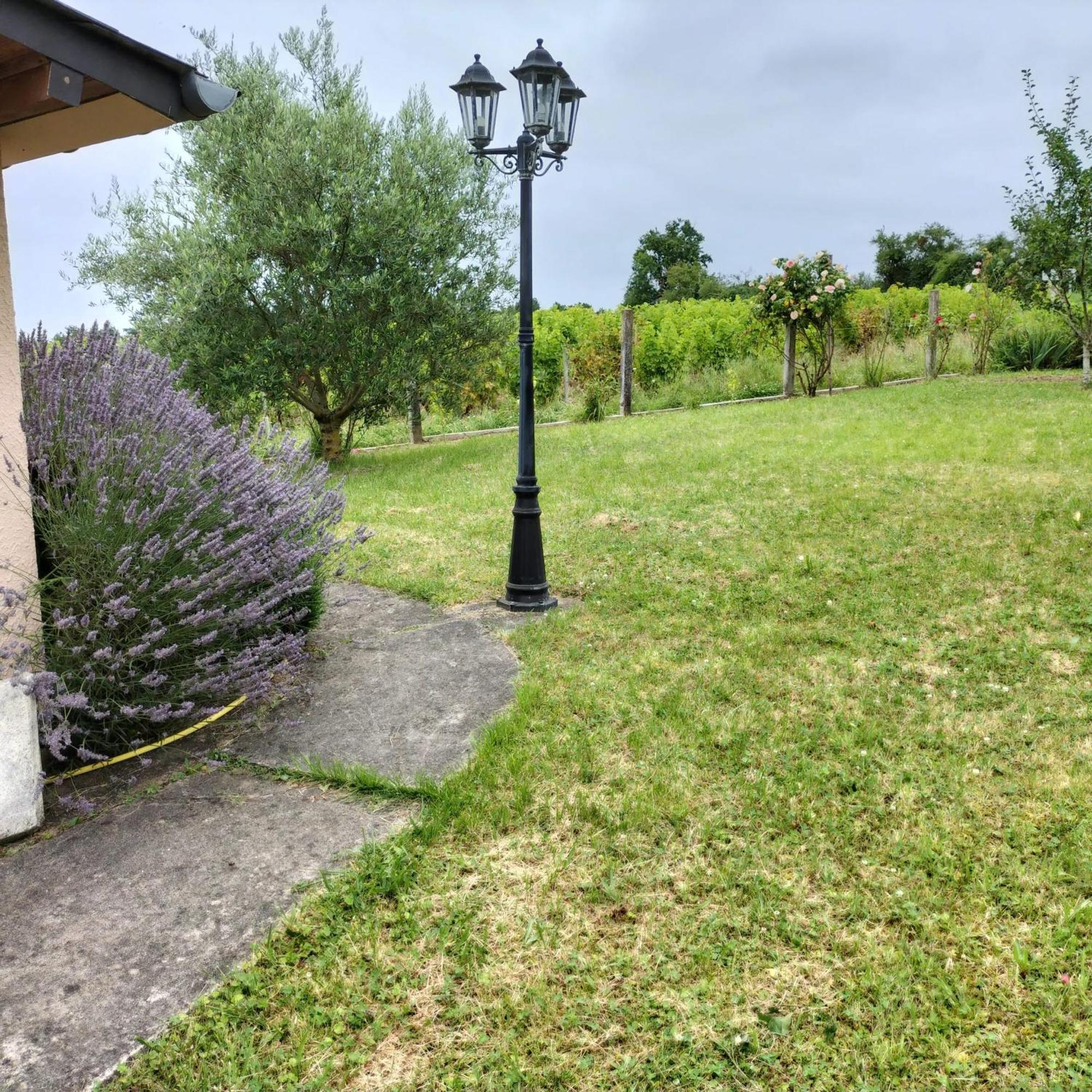 Maison Charmante A Saint-Satur Avec Jardin Et Terrasse Exterior foto